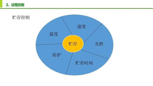 食品安全與質量控制及網絡技術開發與設計的融合創新